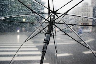 Дождь и порывистый ветер ожидаются в Рязанской области в субботу