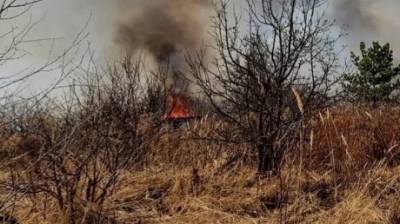 Пожар в Васильевке тушат более 70 человек, дачников эвакуировали