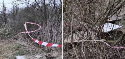 В парке Львова нашли расчлененное тело: полиция задержала подозреваемого