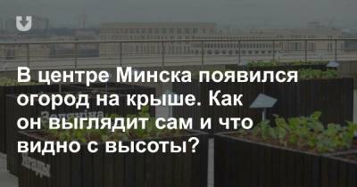 В центре Минска появился огород на крыше. Как он выглядит сам и что видно с высоты?