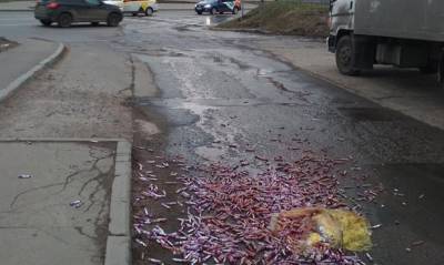 В Москве на дорогу выбросили сотни пробирок с остатками крови из «Гемотеста»