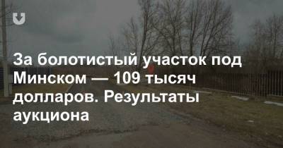За болотистый участок под Минском — 109 тысяч долларов. Результаты аукциона