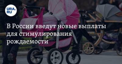 В России введут новые выплаты для стимулирования рождаемости