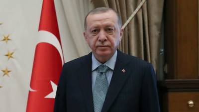 Эрдоган и генсек НАТО в разговоре затронули тему Украины