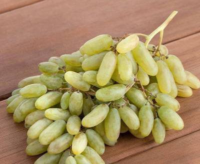 Сорт винограда Дамские пальчики: фото, описание, отзывы, характеристика