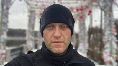 В России зафиксировали падение интереса граждан к Алексею Навальному