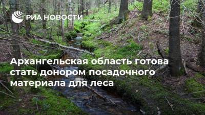 Архангельская область готова стать донором посадочного материала для леса