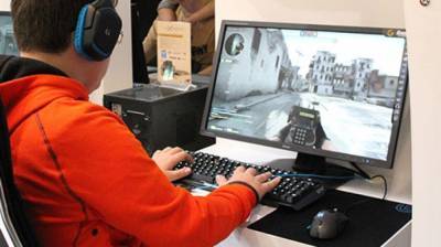 Бабушка обратилась в полицию из-за частых проигрышей внука в онлайн-игре