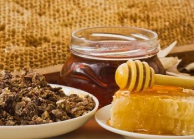 Смесь меда и прополиса: поможет при простуде, насытит витаминами, облегчит боль в горле