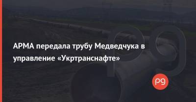 АРМА передала трубу Медведчука в управление «Укртранснафте»