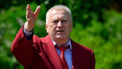 Доход Жириновского оказался самым большим среди лидеров фракций в Госдуме
