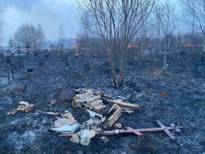В Тверской области горела сухая трава на кладбище