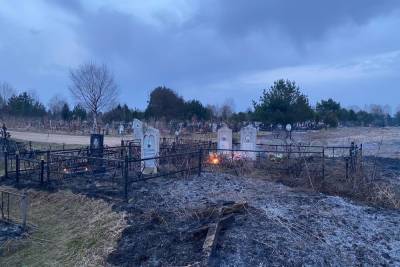 В Тверской области загорелось кладбище