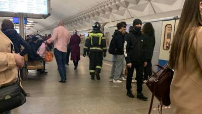 Движение поездов на серой ветке московского метро восстановлено после падения пассажира