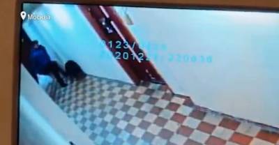 В Москве хозяин жестоко ударил свою собаку в подъезде — видео