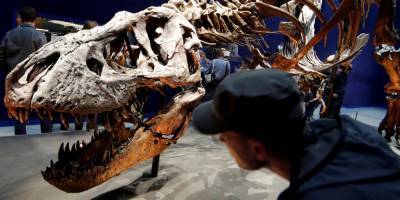 Счет на миллиарды. Сколько тираннозавров проживало на Земле и какое их количество поместилось бы в Полтаве — исследование