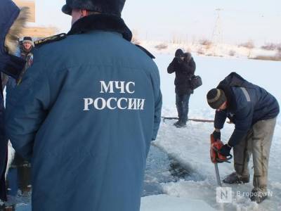 МЧС спасли вышедших на лед подростков в Городецком районе