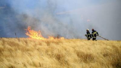 В МЧС рассказали о ситуации с возгоранием сухой травы в России