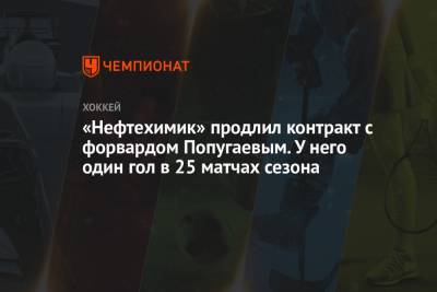 «Нефтехимик» продлил контракт с форвардом Попугаевым. У него один гол в 25 матчах сезона