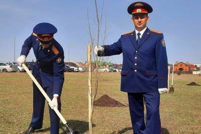 Тамбовские следователи посадили в Олимпийском парке тополя