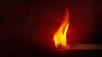 Пожар в жилом доме в Ленобласти унес жизнь одного человека