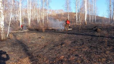 В Башкирии начались лесные пожары, вводится особый противопожарный режим