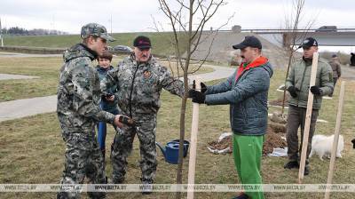 Лукашенко в день субботника высаживает деревья на своей малой родине в Александрии