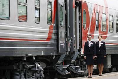 Многодетные семьи могут купить билеты на летние поезда со скидкой 20% - ivbg.ru - Москва - Россия - Санкт-Петербург