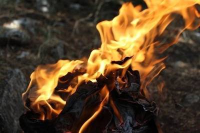 За минувшие сутки в Оренбуржье зарегистрировано 86 пожаров