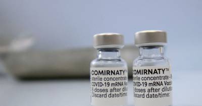 Сегодня 29 тысяч доз вакцины Pfizer разъедутся по регионам: их поделят поровну