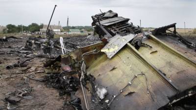 Гаагский суд принял решение об изучении обломков самолета рейса MH17
