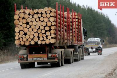 В Сыктывкаре лесовозы 90 раз попались на нарушении закона