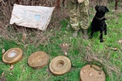 Террористы «ДНР» оборудовали минное поле под Мариуполем