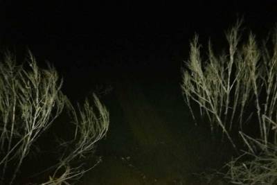В Саратовской области в реке обнаружили тело пенсионерки