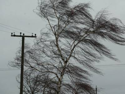 Южноуральцев предупреждают о сильном ветре