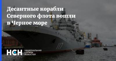Десантные корабли Северного флота вошли в Черное море