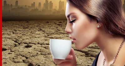 Производство элитных сортов кофе может пострадать от изменений климата