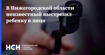 В Нижегородской области неизвестный выстрелил ребенку в лицо