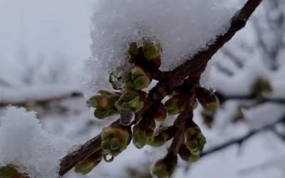Важливе попередження від ДСНС: через морози в Україні оголосили перший рівень небезпеки