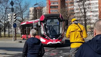 Новые модели трамваев появились на улицах Петербурга
