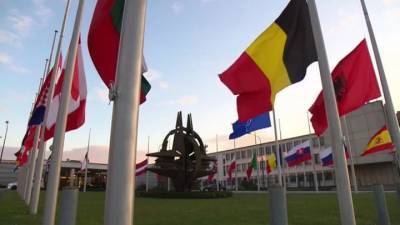 В Госдуме резко высказались о генсеке НАТО и президенте Украины