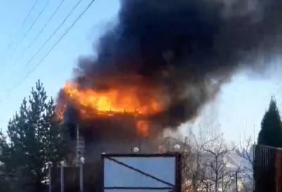 Видео: частный дом в Малом Карлино охватило огнем