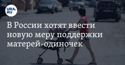 Константин Селянин - Светлана Бессараб - В России хотят ввести новую меру поддержки матерей-одиночек - ura.news