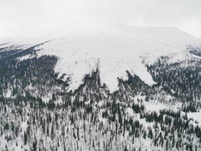 В «Югыд Ва» лавиной снесло кусок леса - bnkomi.ru