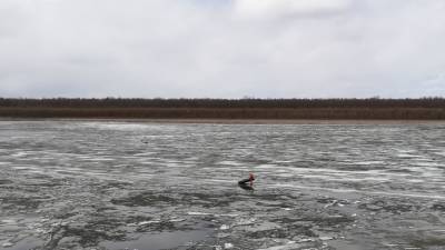 Тюменца, плывущего на льдине по Иртышу, спасли сотрудники МЧС