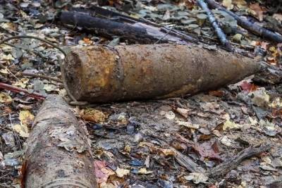 В Смоленской области нашли два взрывоопасных предмета времен ВОВ