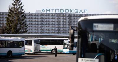Скидка в музее и кафе по автобусному билету: Калининградский автовокзал проводит акцию «Рейс выходного дня»