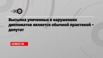 Высылка уличенных в нарушениях дипломатов является обычной практикой – депутат