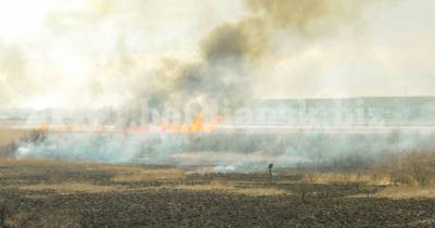 Вблизи Бердянска подростки сожгли гектара заповедной территории