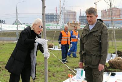 Дмитрий Миляев: Туле нужны новые деревья, ведь они – легкие нашего города